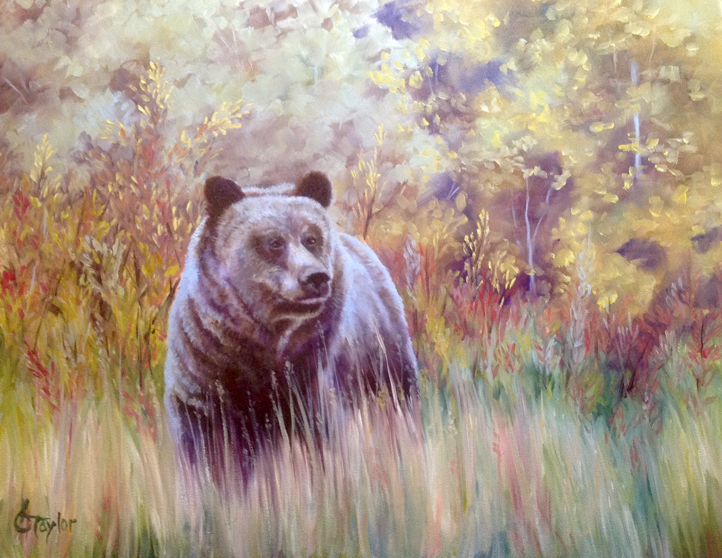 Portrait by Cyndi Taylor