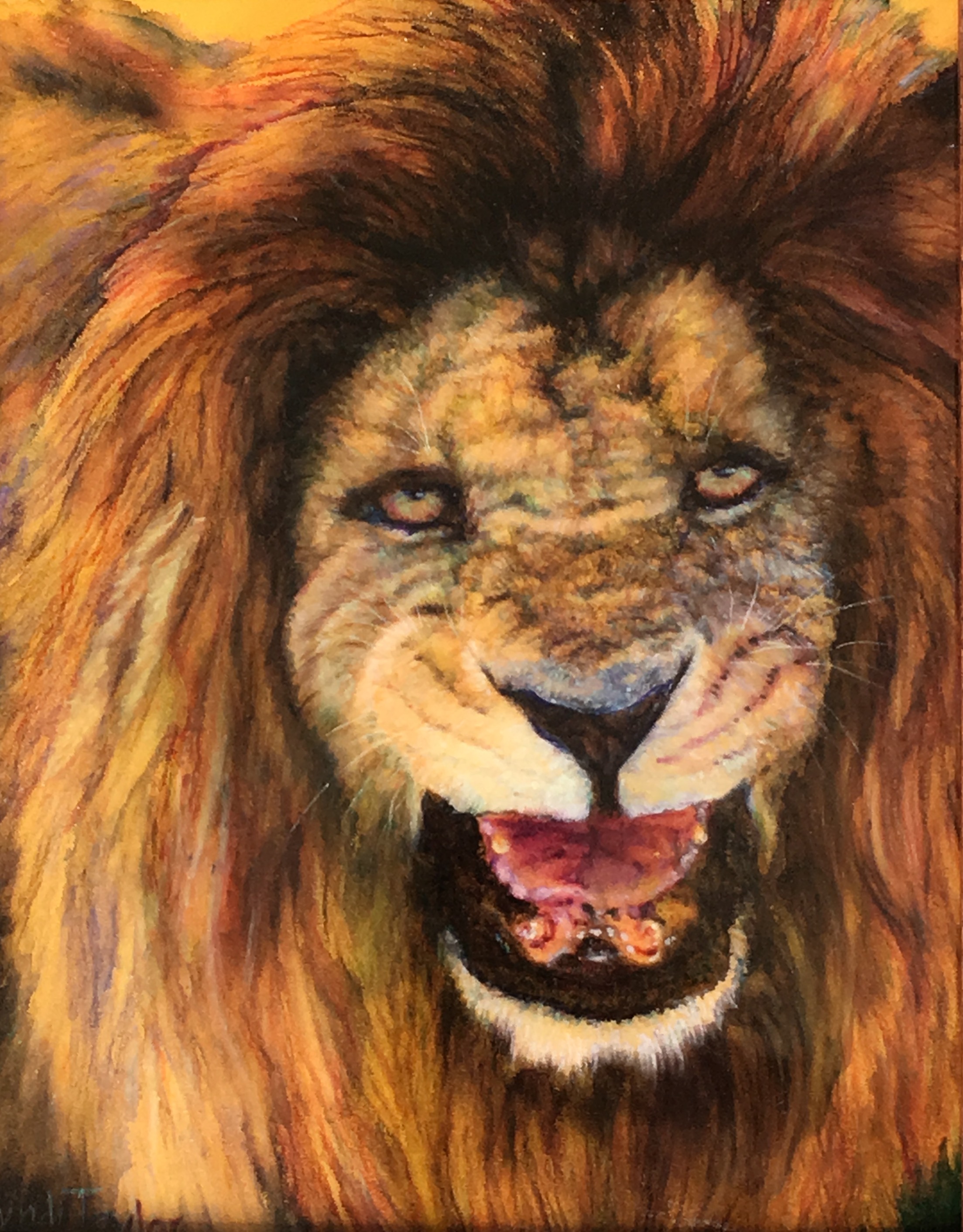 Portrait by Cyndi Taylor