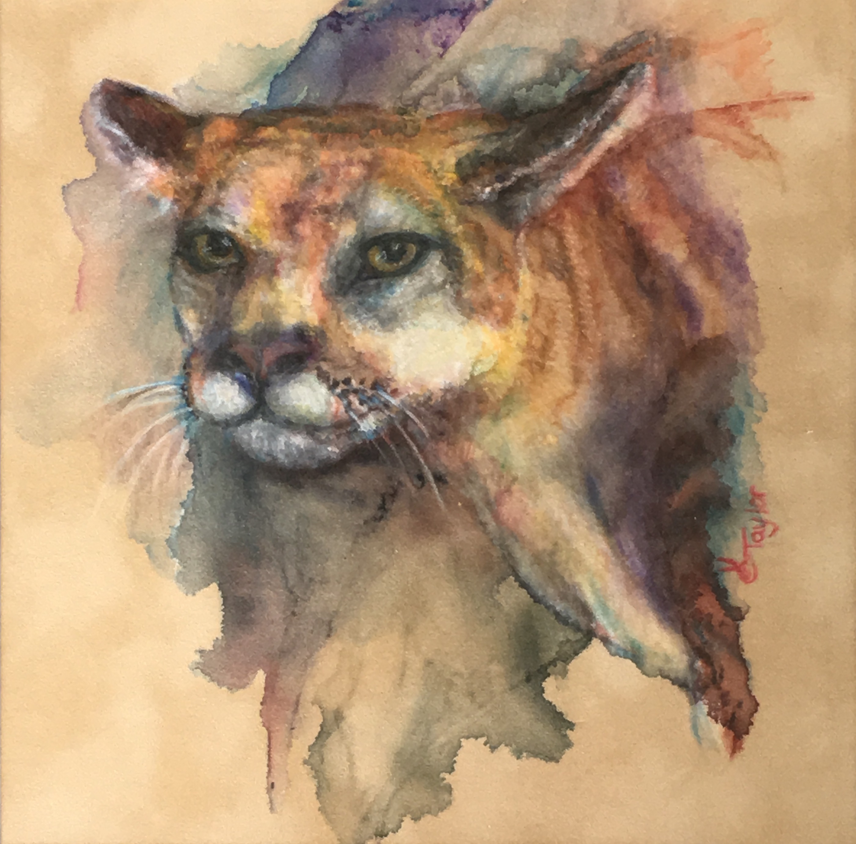 Portrait by Cyndi Taylor