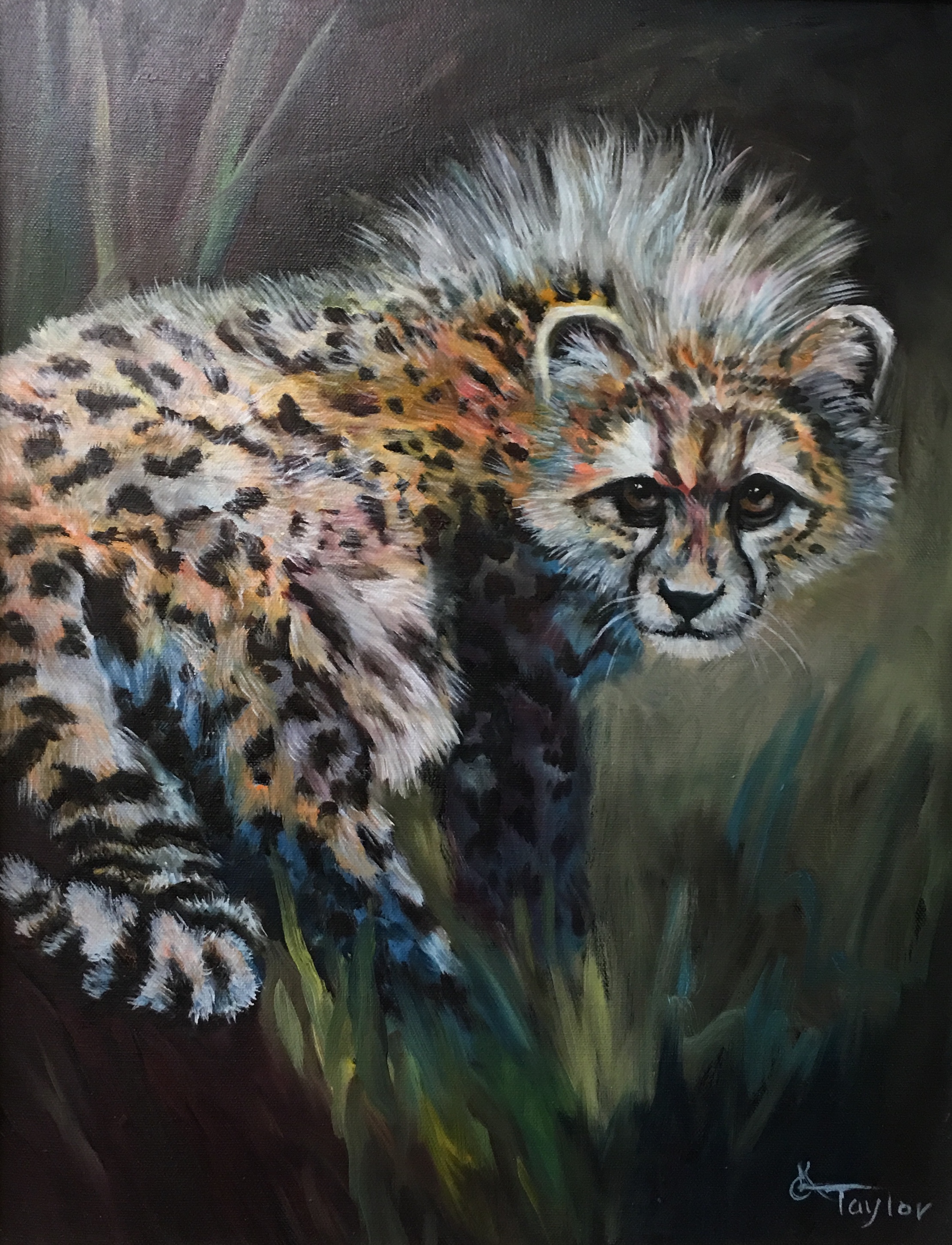 Portrait artwork by Cyndi Taylor