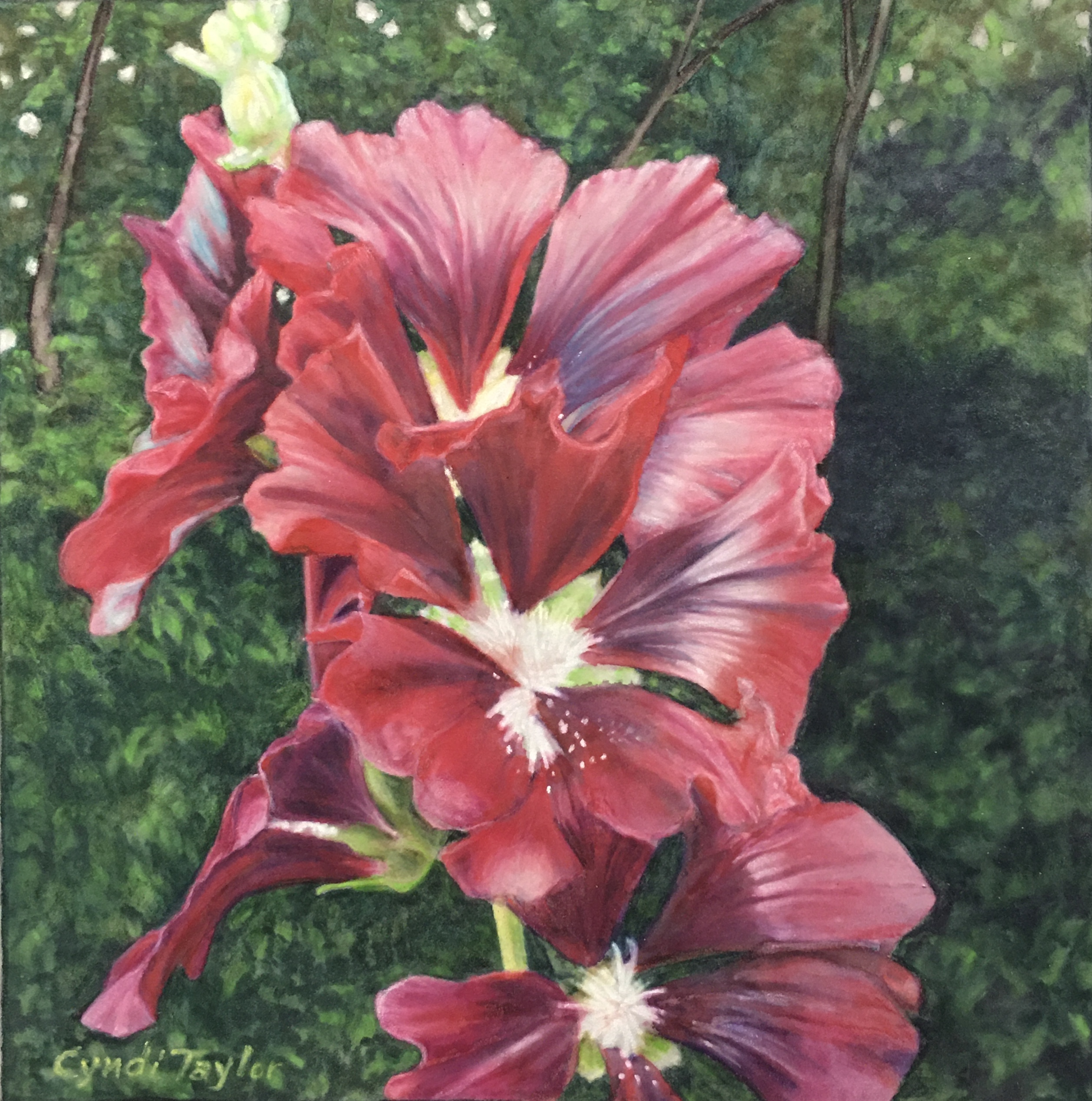 Deep red gladiolus flowers with ruffled petals against lush green foliage